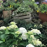 Cascade Superior Отель Дюссельдорф
