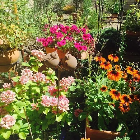 فندق Cascade Superior 3*