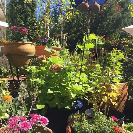 Hotel Cascade Superior Düsseldorf