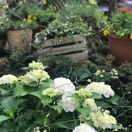 Cascade Superior Hotel Düsseldorf