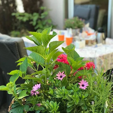 Hotel Cascade Superior Düsseldorf