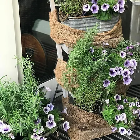 فندق Cascade Superior