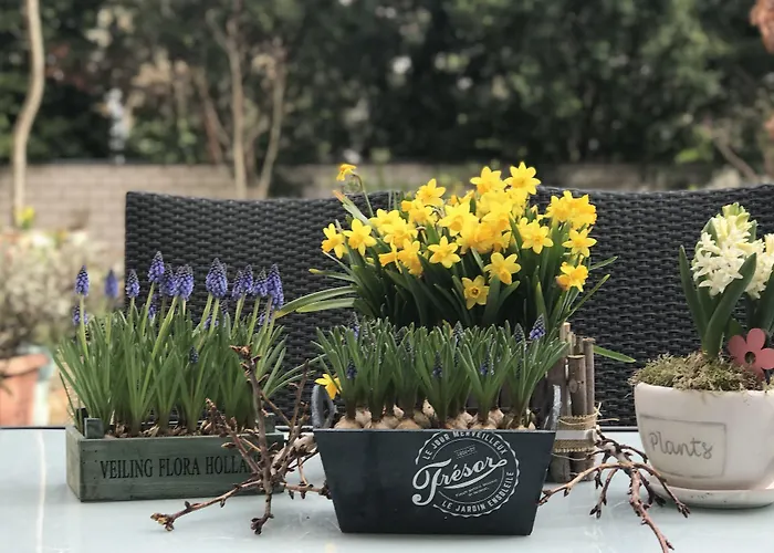 Hotel Cascade Superior 3*