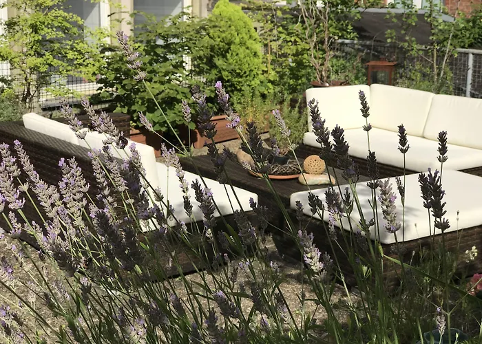 Hotel Cascade Superior 3*