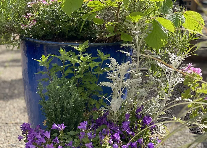 Hotel Cascade Superior Düsseldorf