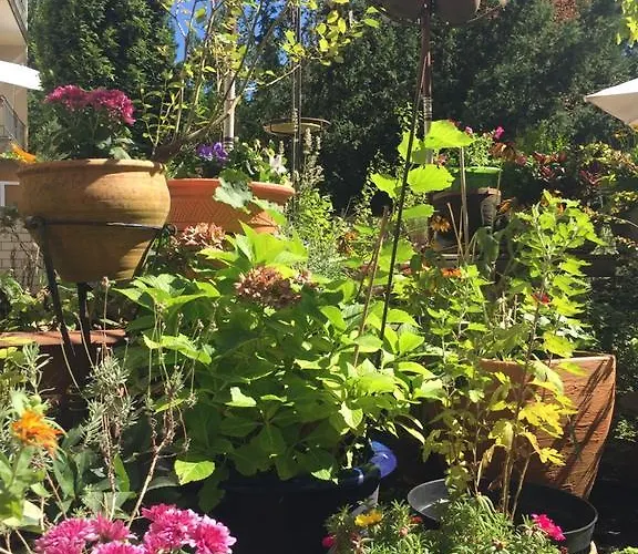 Hotel Cascade Superior Düsseldorf