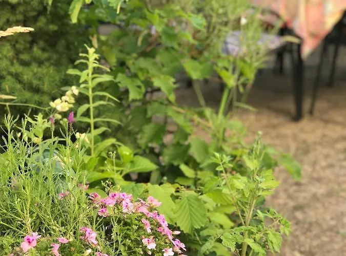 Hotel Cascade Superior Düsseldorf