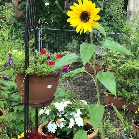 Cascade Superior 3* دوسلدورف