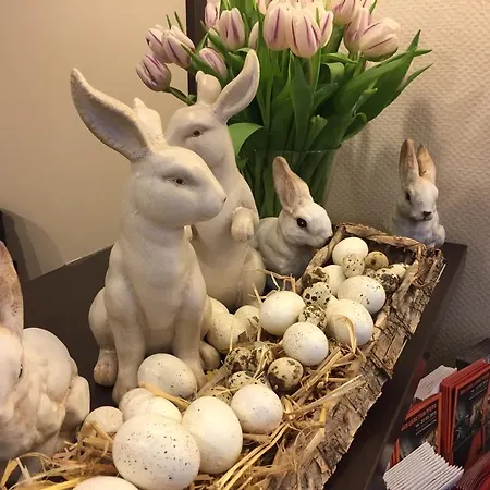 Cascade Superior فندق