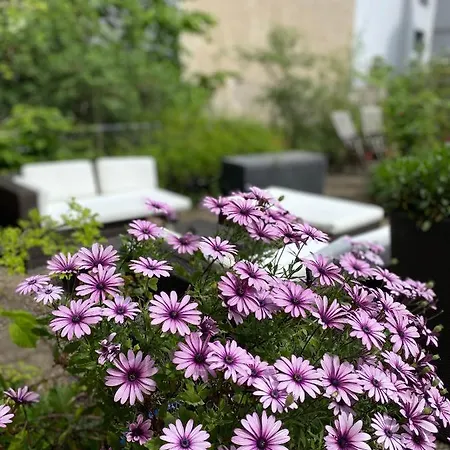 Cascade Superior فندق دوسلدورف