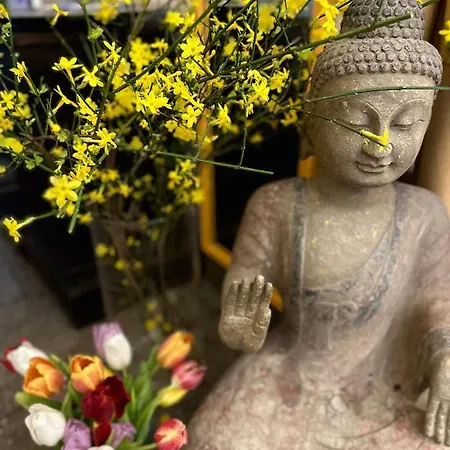 Cascade Superior Düsseldorf