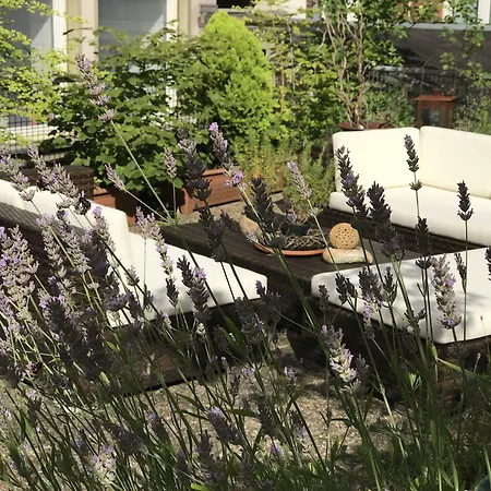 فندق Cascade Superior 3*