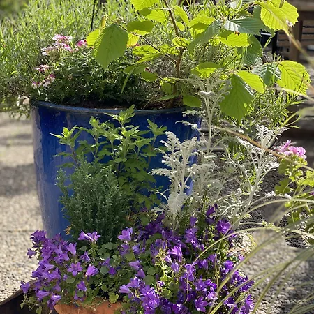 فندق Cascade Superior دوسلدورف