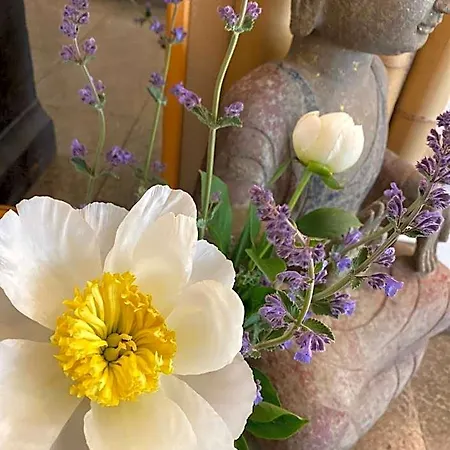 Cascade Superior Hotel