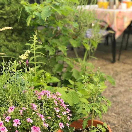 فندق Cascade Superior دوسلدورف