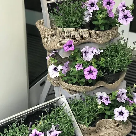 Cascade Superior فندق