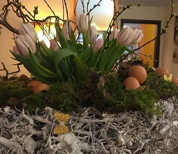 Cascade Superior Дюссельдорф