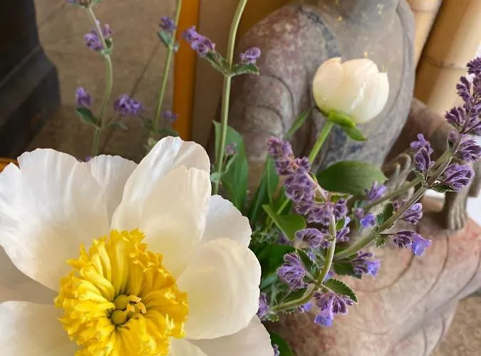 Cascade Superior 杜塞尔多夫