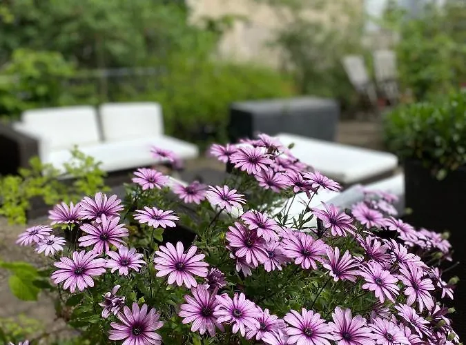 Cascade Superior Отель Дюссельдорф