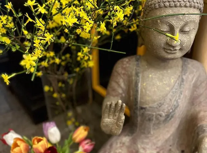 Cascade Superior 杜塞尔多夫