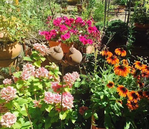 Отель Cascade Superior 3*