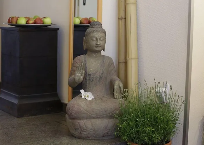 酒店 Cascade Superior 杜塞尔多夫