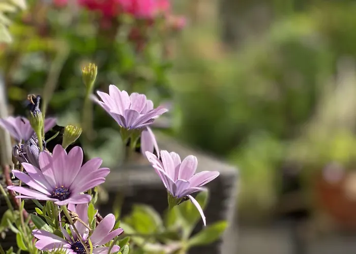 Cascade Superior 酒店 杜塞尔多夫