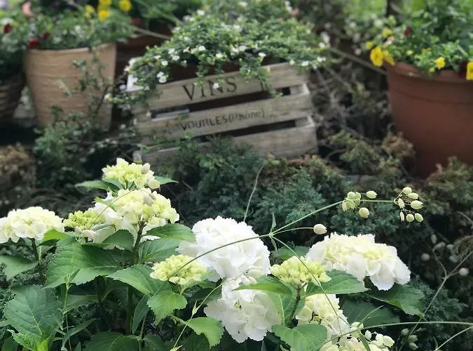 Cascade Superior 酒店 杜塞尔多夫