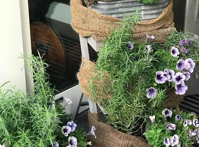 Отель Cascade Superior