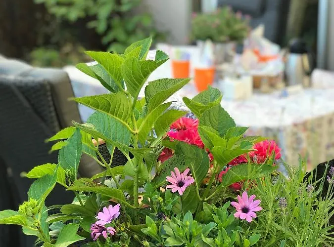 Hotel Cascade Superior Düsseldorf