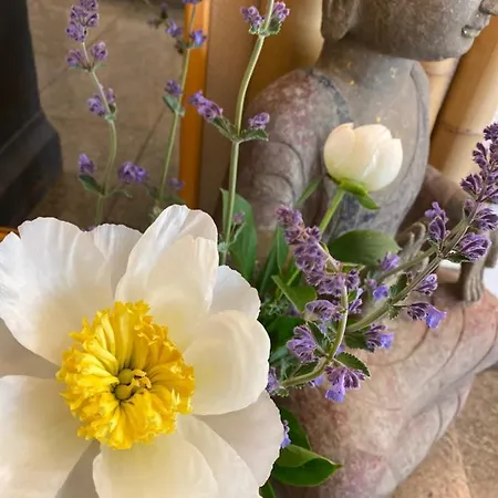 Cascade Superior Düsseldorf