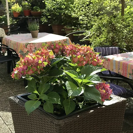 Cascade Superior 3* Dusseldorf